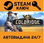 🔑 ColdRidge. STEAM-ключ (Global)
