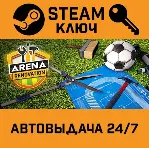 🔑 Arena Renovation. STEAM-ключ Россия СНГ