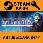 Dry Drowning STEAM РФ,др.страны+подарок