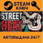Street Heat STEAM РФ,др.страны+подарок