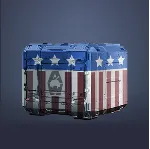 Подарок ко Дню независимости США (23)