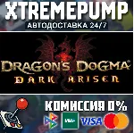 Dragon&acute;s Dogma: Dark Arisen STEAM АВТО 24/7 - irongamers.ru