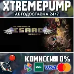 The Binding of Isaac: Rebirth STEAM АВТО 24/7 - irongamers.ru