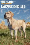theHunter: Call of the Wild™ - Labrador Retriever | XBOX | На любой аккаунт