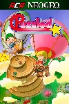 ACA NEOGEO PUZZLED | XBOX | На любой аккаунт