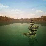 Walden, a game | XBOX | На любой аккаунт