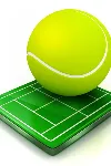 Grand Slam Tennis Open XBox | XBOX | На любой аккаунт - irongamers.ru