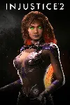 Injustice™ 2 - Starfire | PC | На любой аккаунт