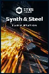 Cities: Skylines II - Synth & Steel Radio | PC | На любой аккаунт
