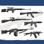 Insurgency: Sandstorm - Rust & Wrap Weapon Skin Set | XBOX+PC | На любой аккаунт