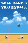 Ball Race 5: Volleyball | XBOX+PC | На любой аккаунт - irongamers.ru
