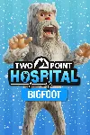 Two Point Hospital: Bigfoot | PC | На любой аккаунт - irongamers.ru