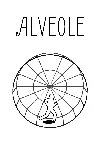 Alveole | XBOX | На любой аккаунт