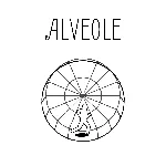 Alveole (Xbox Series X|S) | XBOX | На любой аккаунт