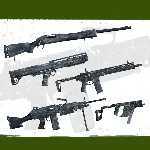Insurgency: Sandstorm - Night Raven Weapon Skin Set | XBOX+PC | На любой аккаунт