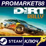 DiRT Rally CN VPN Activated Steam КЛЮЧ Перу - irongamers.ru