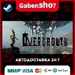 Overgrowth СТИМ Steam Gift