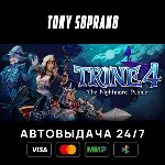 Trine 4: The Nightmare Prince STEAM GIFT - irongamers.ru