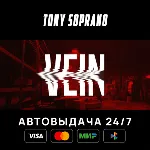 VEIN STEAM GIFT - irongamers.ru