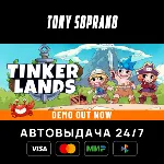 Tinkerlands STEAM GIFT - irongamers.ru