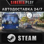 Bus Bound STEAM АВТОДОСТАВКА RU/KZ/UA/СНГ
