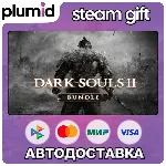 DARK SOULS II: Bundle (DX9) Steam Gift / Россия + МИР / АВТО - irongamers.ru