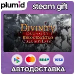 Divinity: Original Sin - Enhanced Edition Collector's Edition Steam Gift / Россия