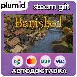 Banished Steam Gift / Россия + МИР / АВТО