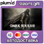 DARK SOULS II: Scholar of the First Sin Steam Gift / Россия + МИР / АВТО - irongamers.ru