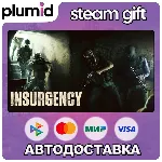 Insurgency Steam Gift / Россия + МИР / АВТО