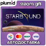 Starbound Steam Gift / Россия + МИР / АВТО