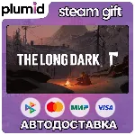 The Long Dark Steam Gift / Россия + МИР / АВТО - irongamers.ru