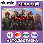 Divinity: Original Sin 2 - Eternal Edition Steam Gift / Россия + МИР / АВТО - irongamers.ru