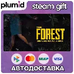 The Forest Steam Gift / Россия + МИР / АВТО