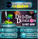 🎁 Die in the Dungeon *RU/BY/UA/СНГ Steam Auto
