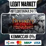 Divinity: Original Sin Enhanced Edition - Collector's Edition / Steam АВТО / РУ + МИР