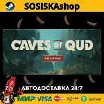 Caves of Qud + ВЫБОР РЕГИОНА STEAM - irongamers.ru