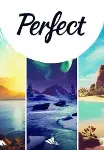 Perfect (Steam/ROW) - irongamers.ru