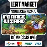 Forage Wizard / Steam АВТО / РУ + МИР