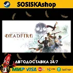 Pillars of Eternity II: Deadfire + ВЫБОР РЕГИОНА STEAM - irongamers.ru