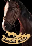 My Horse: Bonded Spirits (Steam/WW)