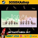 BOKURA + ВЫБОР РЕГИОНА STEAM