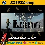 Overgrowth + ВЫБОР РЕГИОНА STEAM
