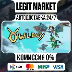 Owlboy / Steam АВТО / РУ + МИР