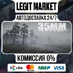 35MM / Steam АВТО / РУ + МИР - irongamers.ru
