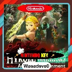 Hyrule Warriors: Age of Imprisonment (Nintendo Switch 2) eShop Key EUROPE