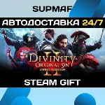 Divinity: Original Sin 2 - Divine Edition | STEAM GIFT | RU・KZ・UA・CIS - irongamers.ru