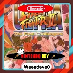 Ultra Street Fighter II: The Final Challengers (Nintendo Switch) eShop Key EUROPE - irongamers.ru