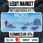 Arctico / Steam АВТО / РУ + МИР - irongamers.ru