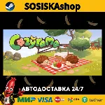 Cozyrama + ВЫБОР РЕГИОНА STEAM